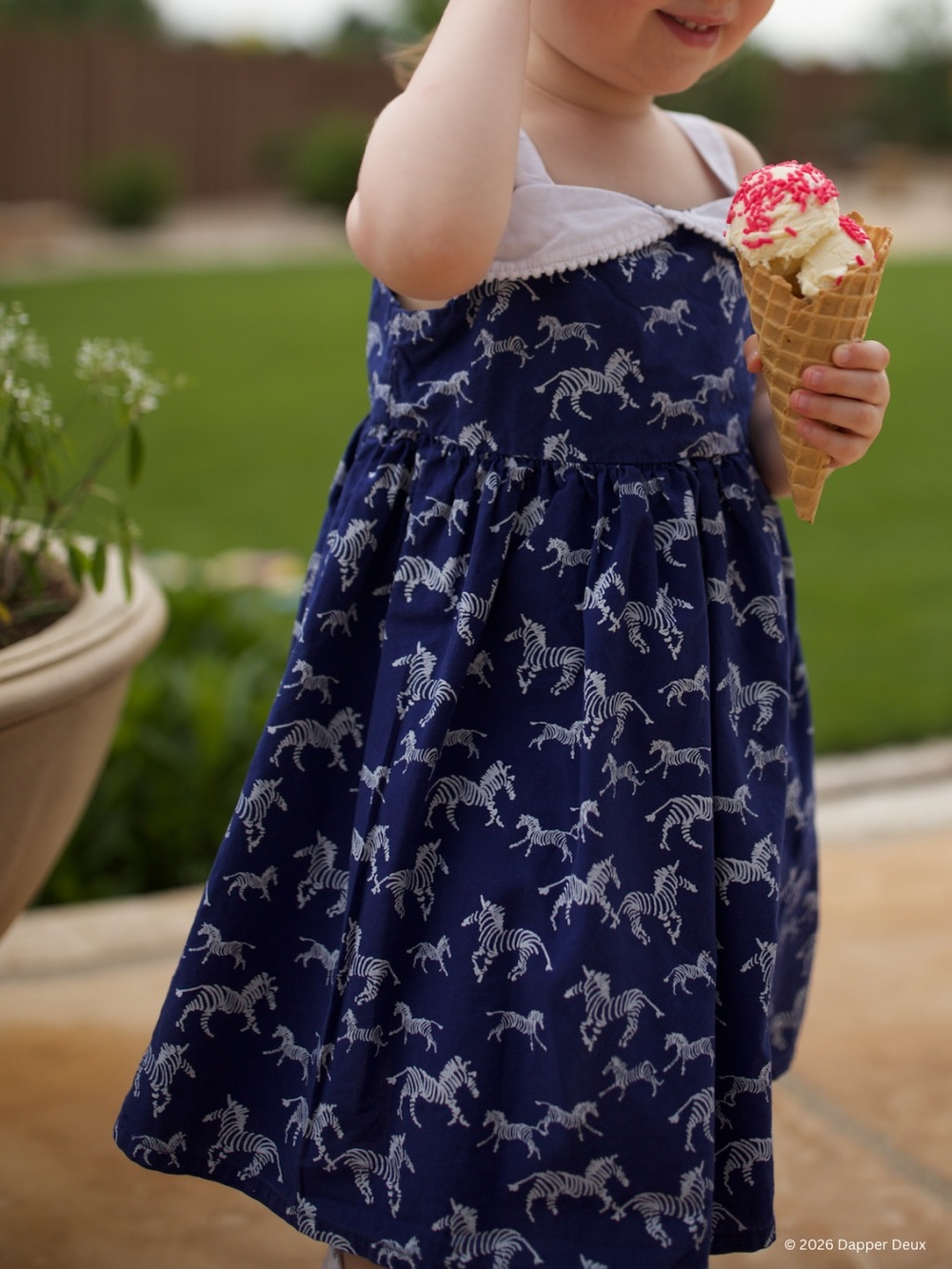Gymboree | Navy Dress with Zebra Print